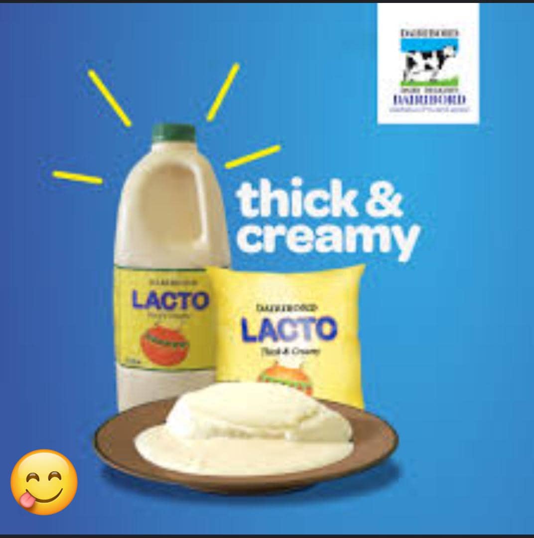 Lacto Dairibord 500ml