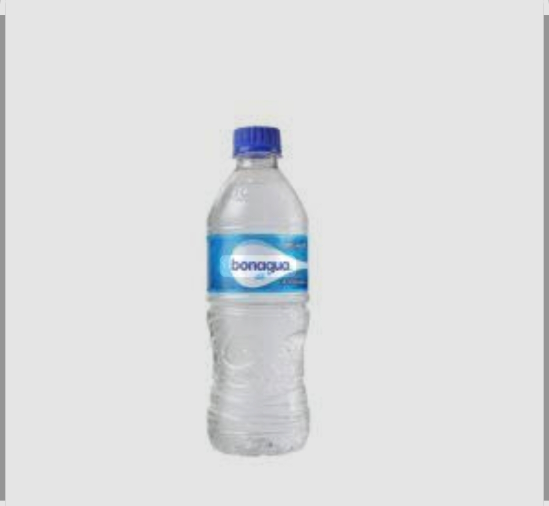 Mineral Water 500ml BonAqua