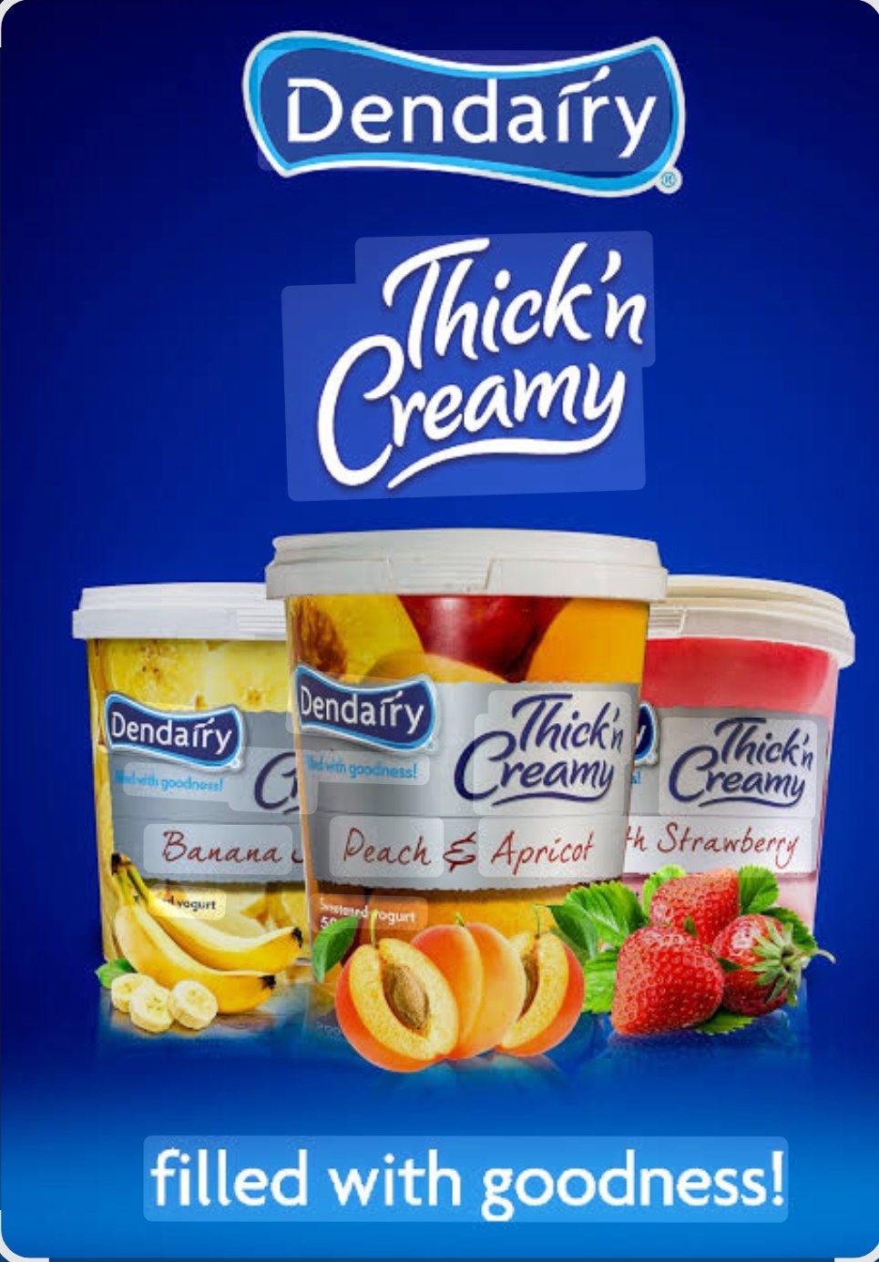 Yoghurt Dendairy 1kg